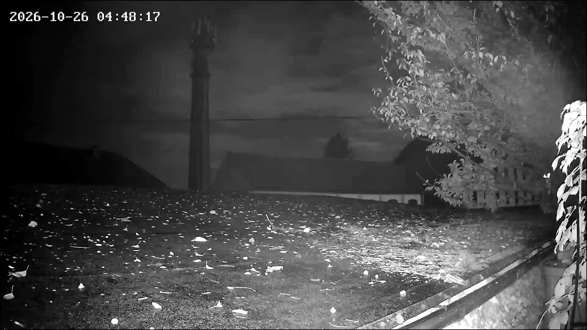 Webcam